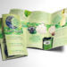 Green Brochure Template